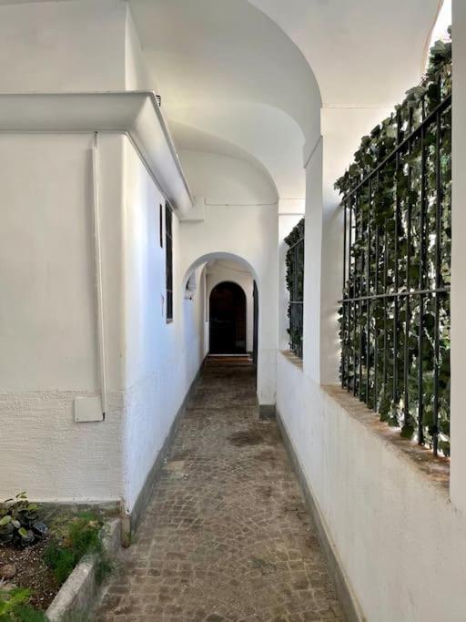 Lovely Apartment In Via Della Scala, Trastevere Róma Kültér fotó